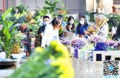 昆明斗南花市回暖