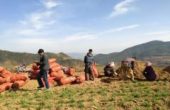 昆明温州总商会副会长单位：置信银河广场开...