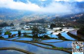 “五一”假期旅游防疫两不误 各地游客点赞...