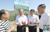 阮成发在会泽县检查脱贫攻坚工作时强调 高...