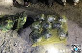 缴毒34.957公斤！直击腾冲警方持枪破...